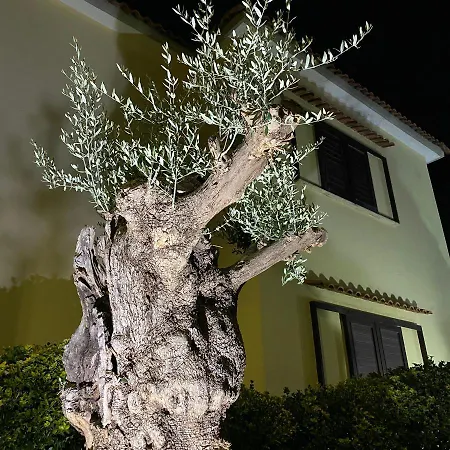 Manzo Relais -pompei Vesuvius Holiday home *