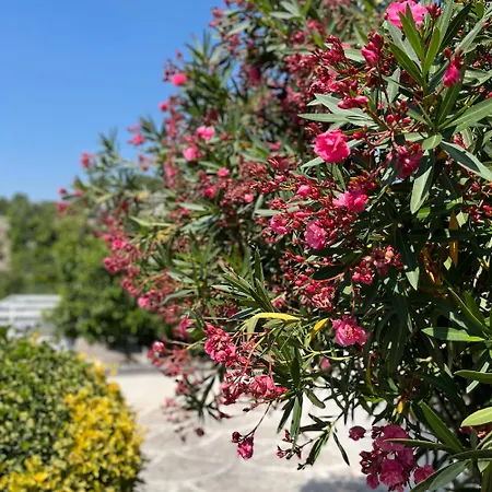 Manzo Relais -pompei Vesuvius Holiday home *