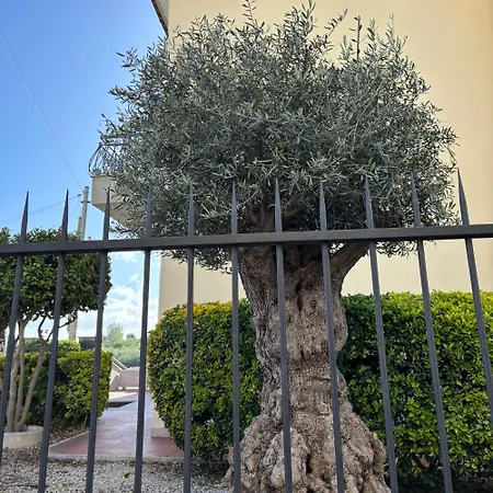 Manzo Relais -pompei Vesuvius Boscotrecase